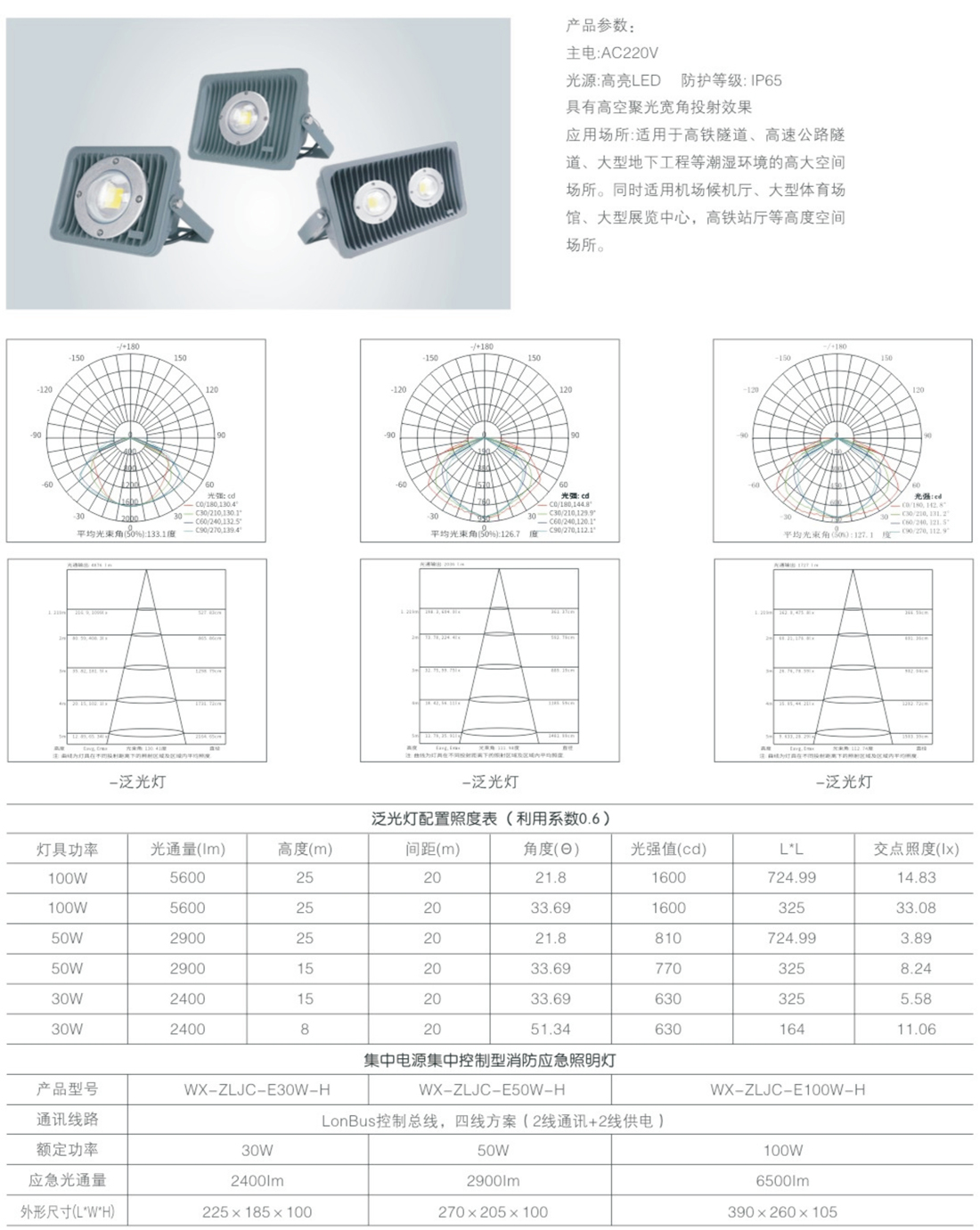 威宣31号_22.jpg